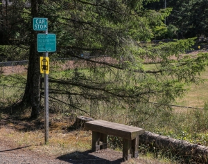 Car stop and bus stop signs with bench, Pender Island BC