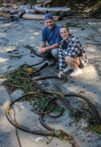 Bull kelp can be eaten.